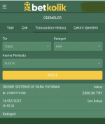 1613498687994.png 1613498687994.png