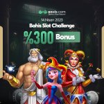 bhs%300.jpg bhs%300.jpg