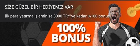 Screenshot_2023-11-17-13-58-25-596_com.android.chrome-edit.jpg Screenshot_2023-11-17-13-58-25-596_com.android.chrome-edit.jpg