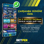 1627468911031.png 1627468911031.png