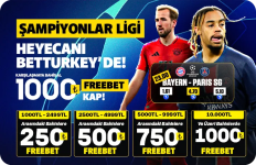 1732609733985.png 1732609733985.png